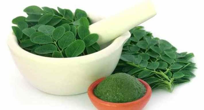 Beneficios de las hojas de Moringa para la diabetes
